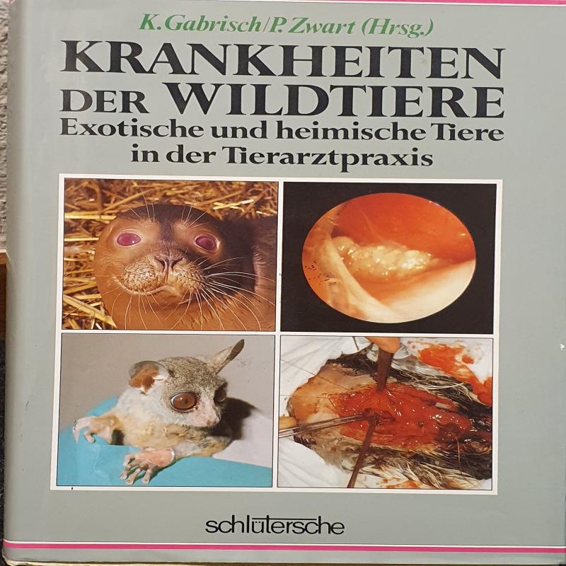 krankheiten-der-wildtiere
