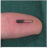 microchip